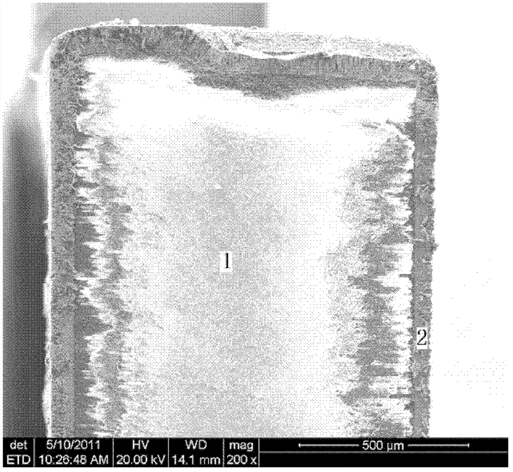 Power module metalized ceramic substrate and metallization method thereof