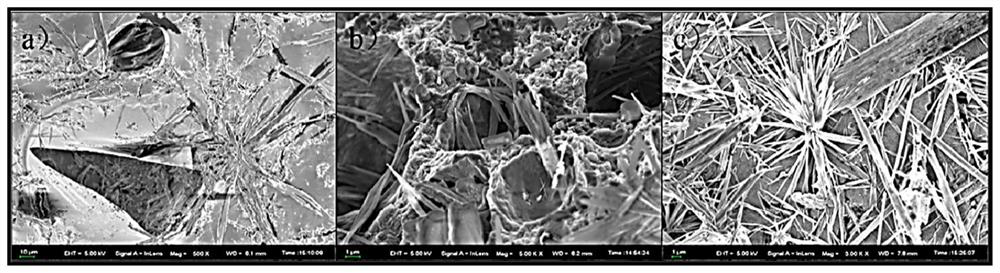 A preparation method of graphene-enhanced biomass porous carbon electromagnetic wave-absorbing material