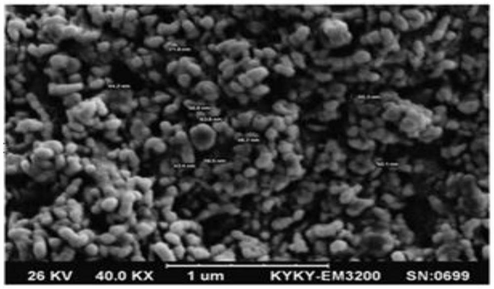 A kind of rosemary essential oil nano liposome and its preparation method and application