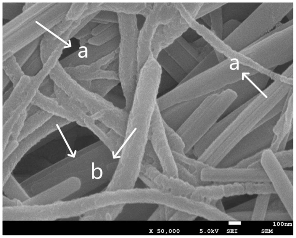 Nanofiber gel material with synergistic functions of pollutant adsorption, catalysis and fluorescence tracking and its preparation method
