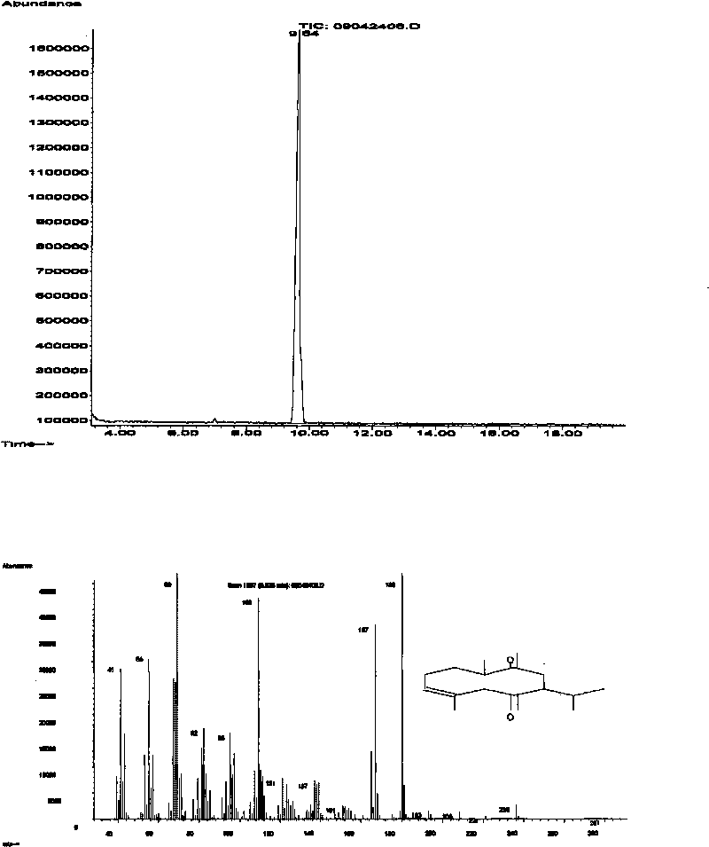 Method for extracting and separating curdione from oil of zedoary turmeric