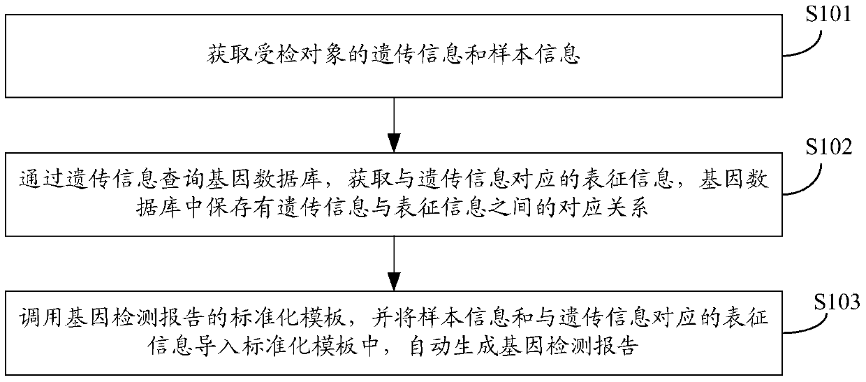 Gene detection report automatic generation method and device