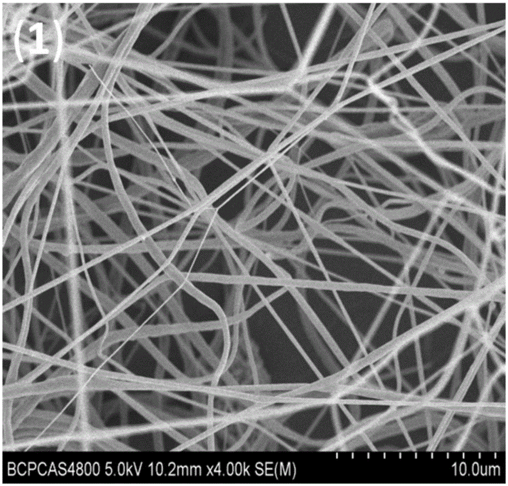 Nano-cellulose/cellulose triacetate composite nano-fiber membrane capable of adsorbing and desorbing proteins