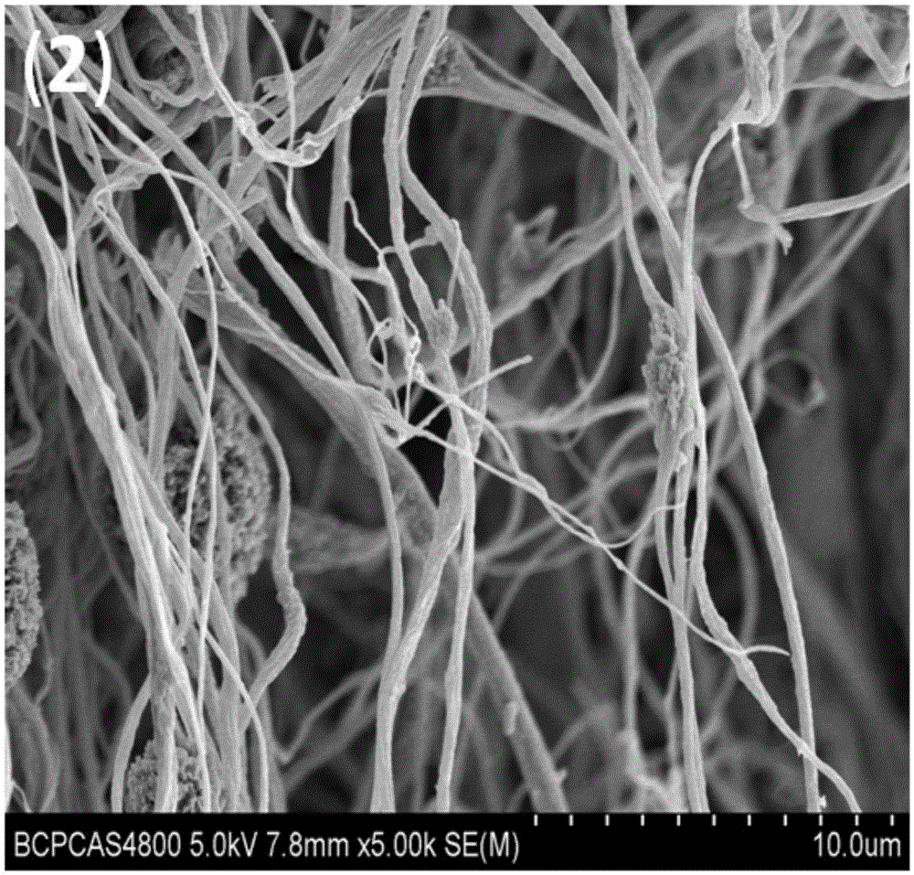 Nano-cellulose/cellulose triacetate composite nano-fiber membrane capable of adsorbing and desorbing proteins