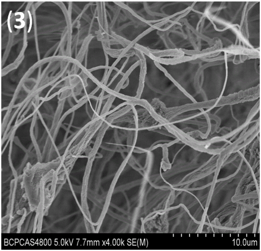 Nano-cellulose/cellulose triacetate composite nano-fiber membrane capable of adsorbing and desorbing proteins