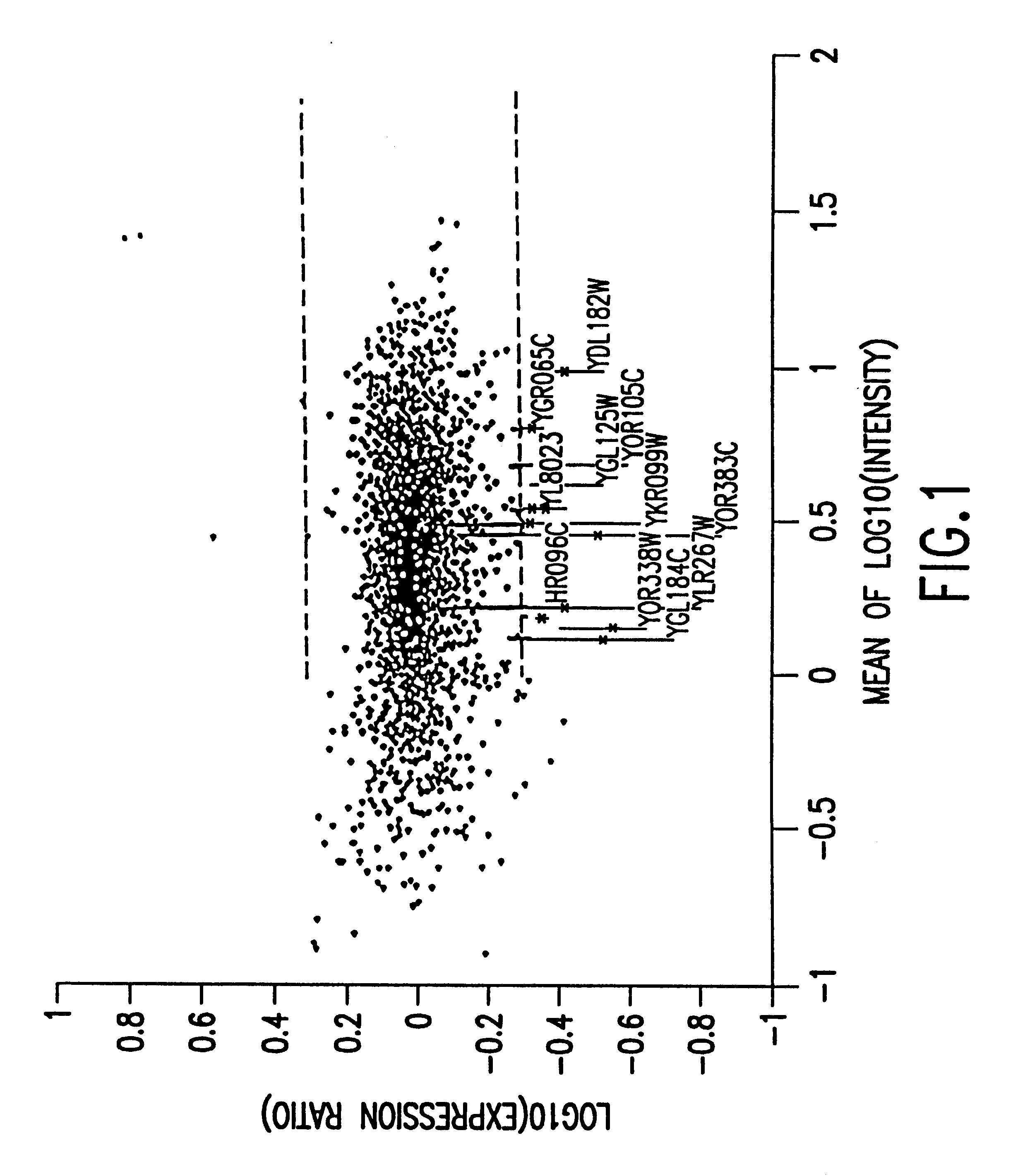 Methods of determining protein activity levels using gene expression profiles