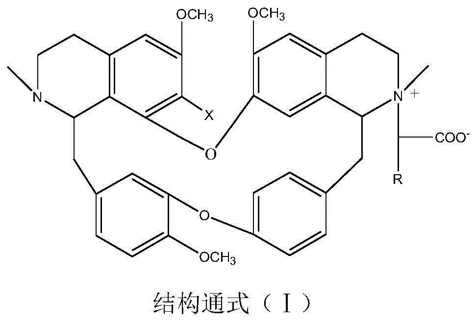 Tetrandrine derivatives and preparation method thereof, and application of tetrandrine derivatives in preparing anti-tumor medicines