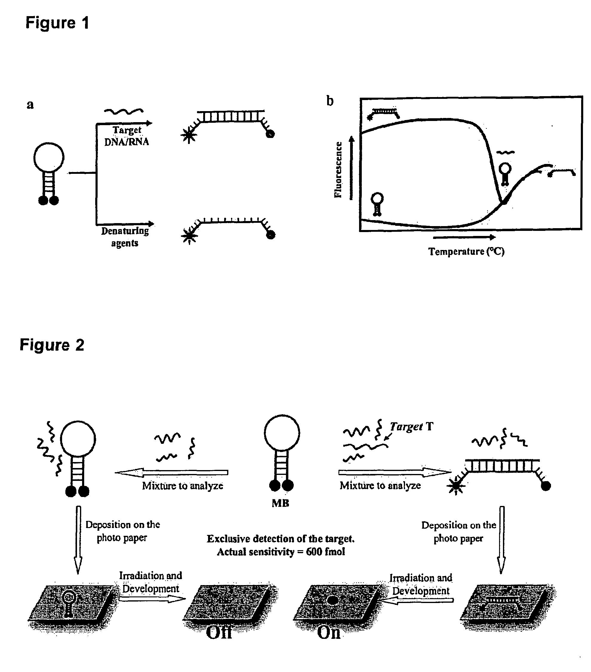 Molecular Beacons for DNA-Photography