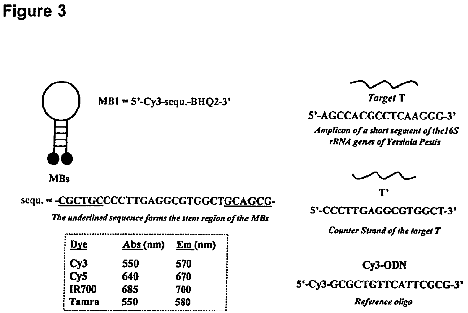 Molecular Beacons for DNA-Photography