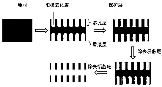 Through hole type alumina catalyst carrier and preparation method thereof