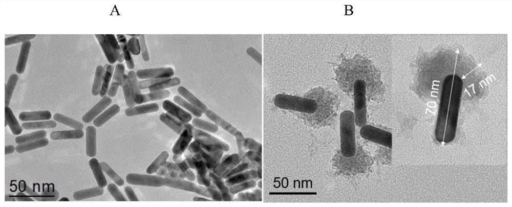 Titanium dioxide-gold nanorod asymmetric nano composite material as well as preparation method and application thereof