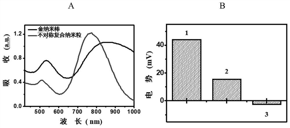 Titanium dioxide-gold nanorod asymmetric nano composite material as well as preparation method and application thereof