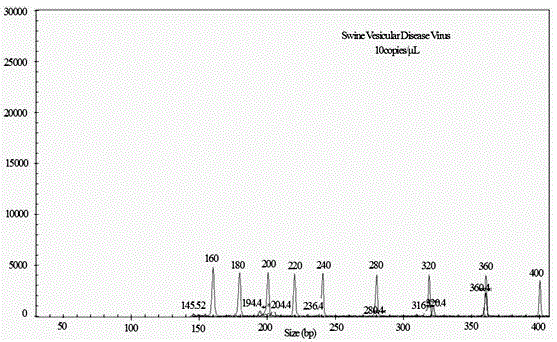 Primer, detection kit and preparation method for detecting porcine vesicular disease virus