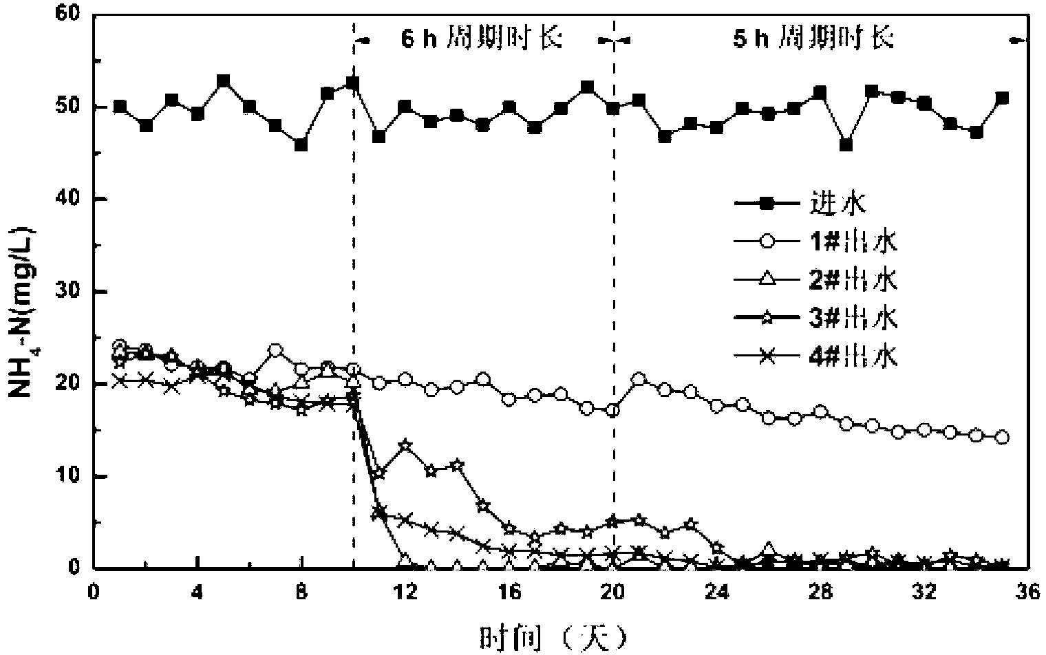 Enrichment of low temperature resistant autotrophic nitrification microbial agent and its application in wastewater treatment