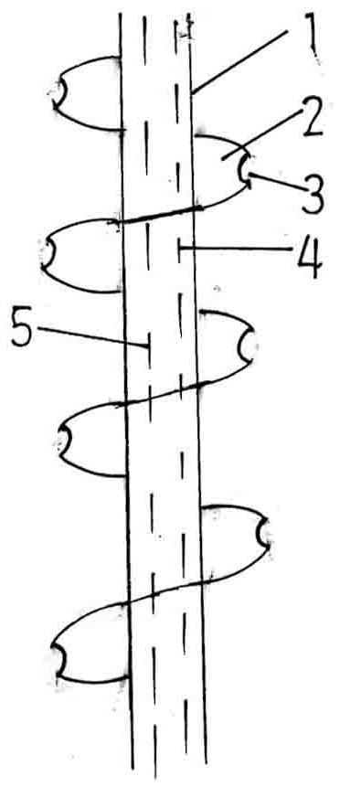 A construction method of long spiral soil extraction and back-mixing cement-soil composite pile