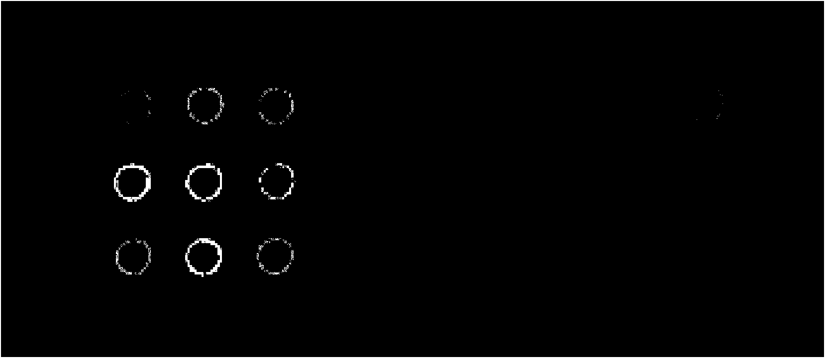 Pair of specific primers and probe for detection of MTHFR gene chip