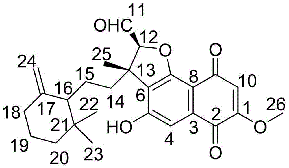 Sesquiterpene naphthoquinone compound as well as preparation method and medical application thereof