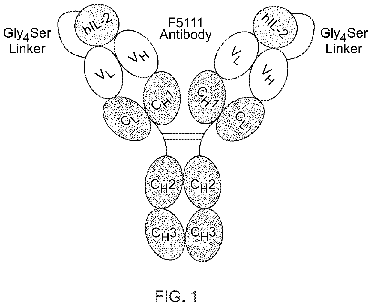 Methods and materials for targeted expansion of regulatory t cells