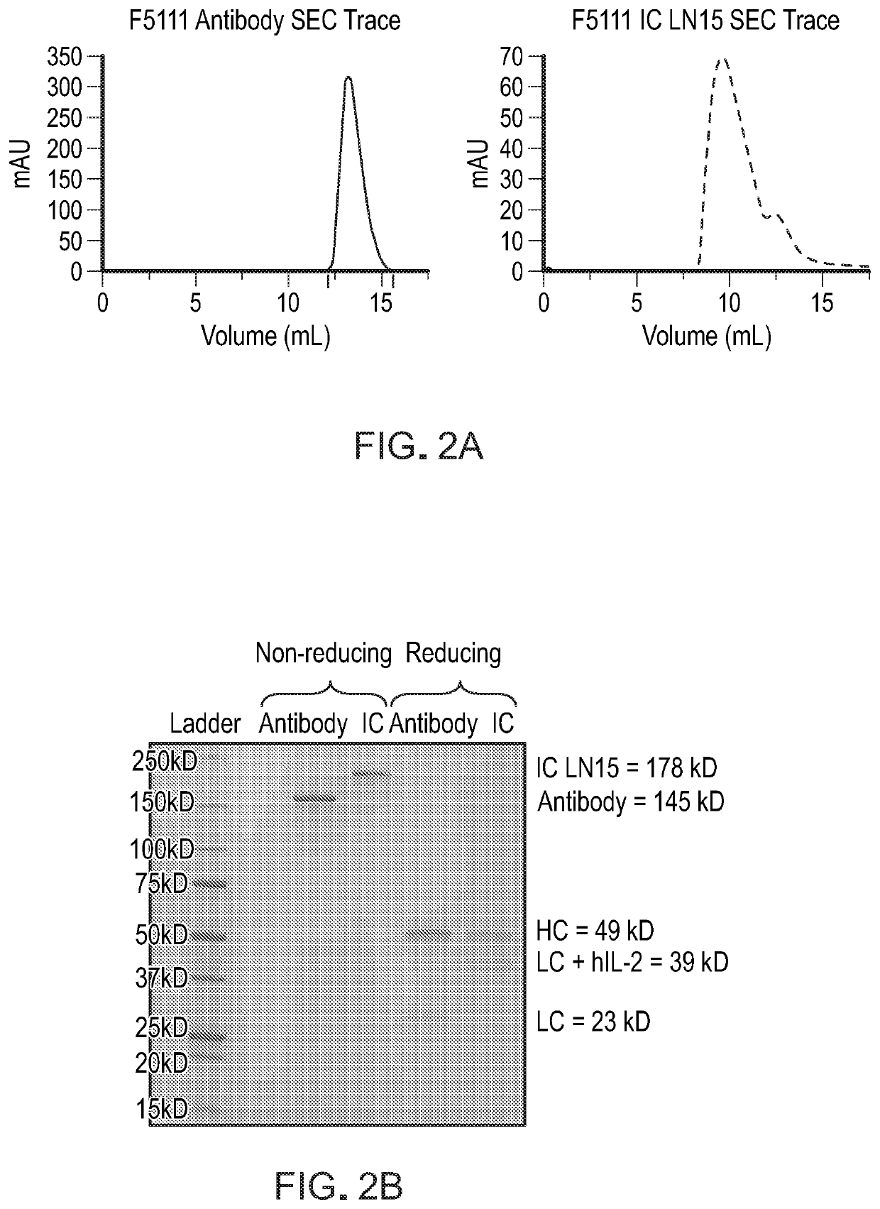 Methods and materials for targeted expansion of regulatory t cells