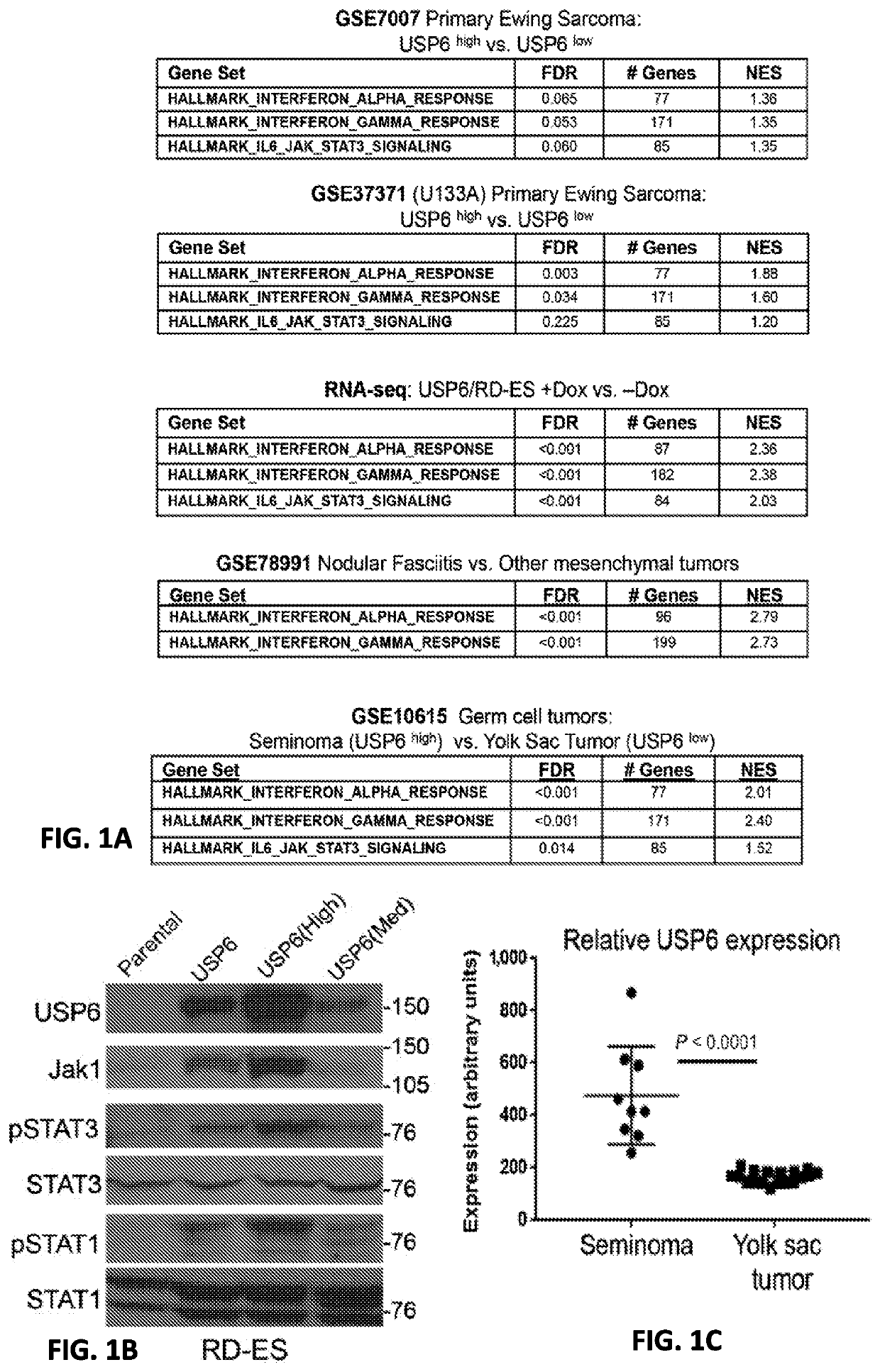 Compositions and methods for treating cancer