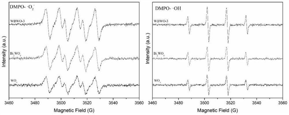 Preparation method of WO3/Bi2WO6 composite heterojunction material for photocatalytic degradation of toluene