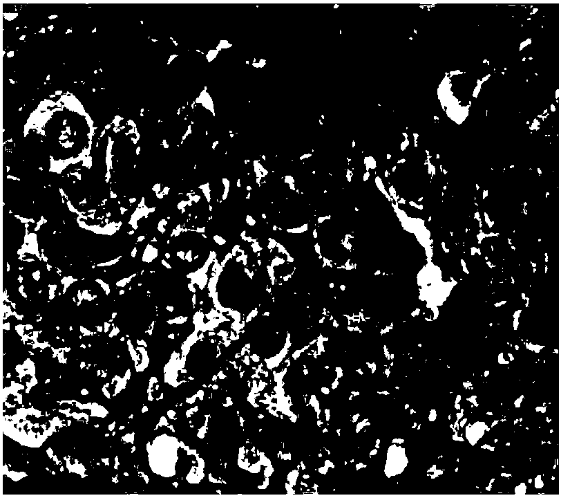 High-stability PD-L1 antibody reagent and application thereof