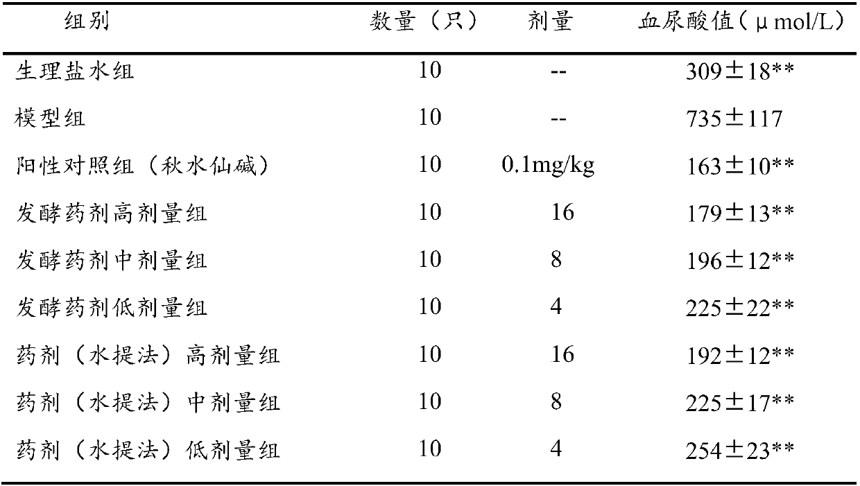 Fermentation traditional Chinese medicine composition for treating gout and hyperuricemia