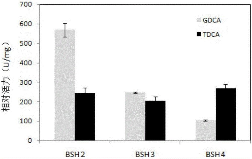 Strains with High Bile Salt Resistance and Bile Salt Hydrolase Gene