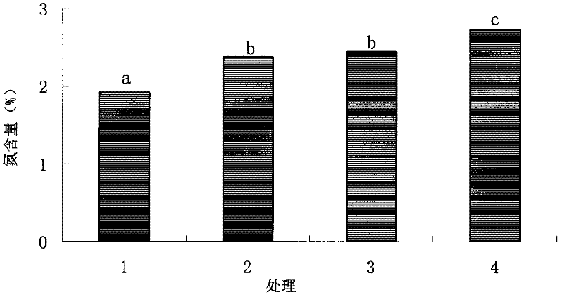 Phytase microbial inoculum and preparation method thereof