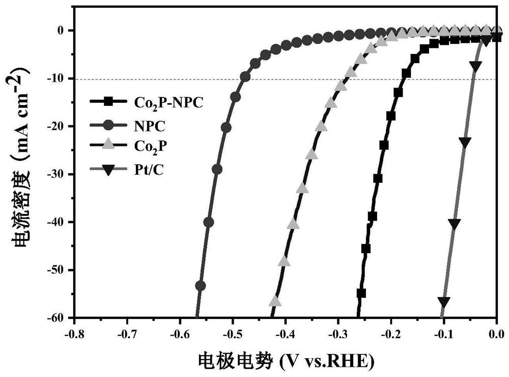 A kind of metal phosphide wrapped with nitrogen and phosphorus doped carbon and its preparation method and application