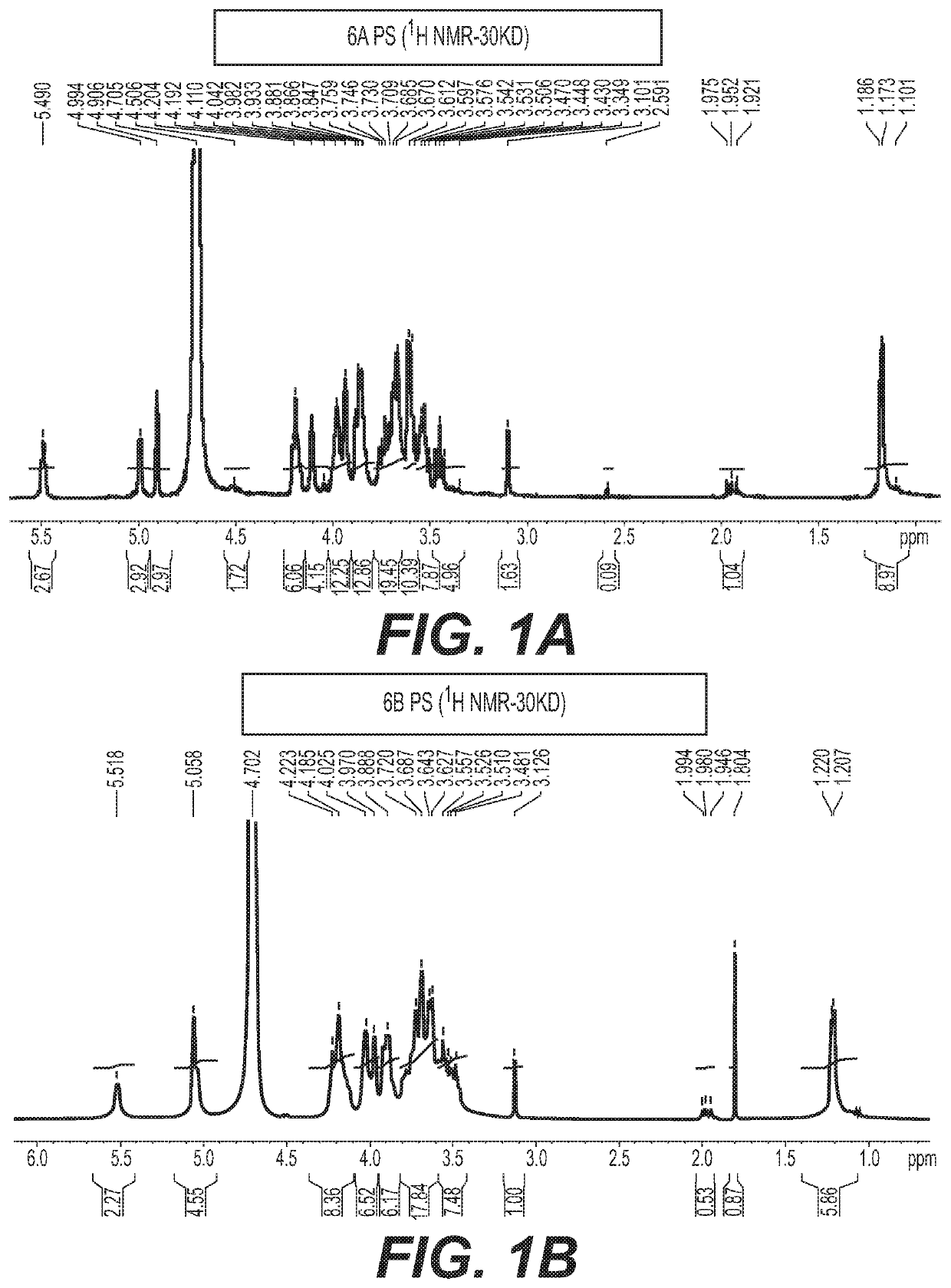Multivalent conjugate vaccines with bivalent or multivalent conjugate polysaccharides that provide improved immunogenicity and avidity