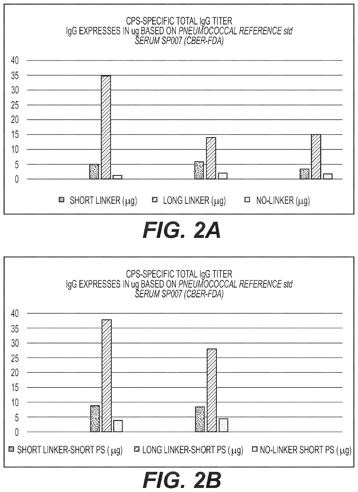 Multivalent conjugate vaccines with bivalent or multivalent conjugate polysaccharides that provide improved immunogenicity and avidity