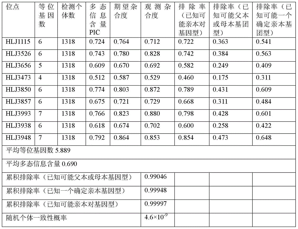 Method utilizing microsatellite markers to identify polycultured Songpu mirror carp family