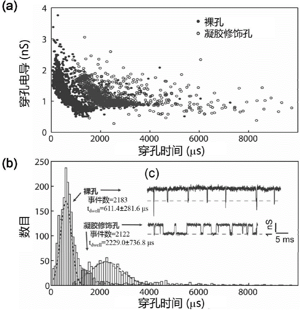 Nanopore sequencing method for nucleic acid molecules with low perforation rate and special nanopore device thereof