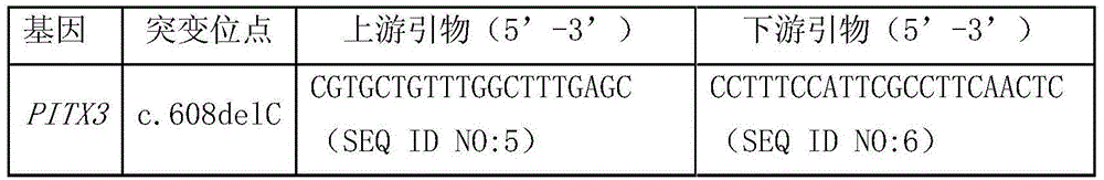 CC (congenital cataract) PITX3 gene novel mutation