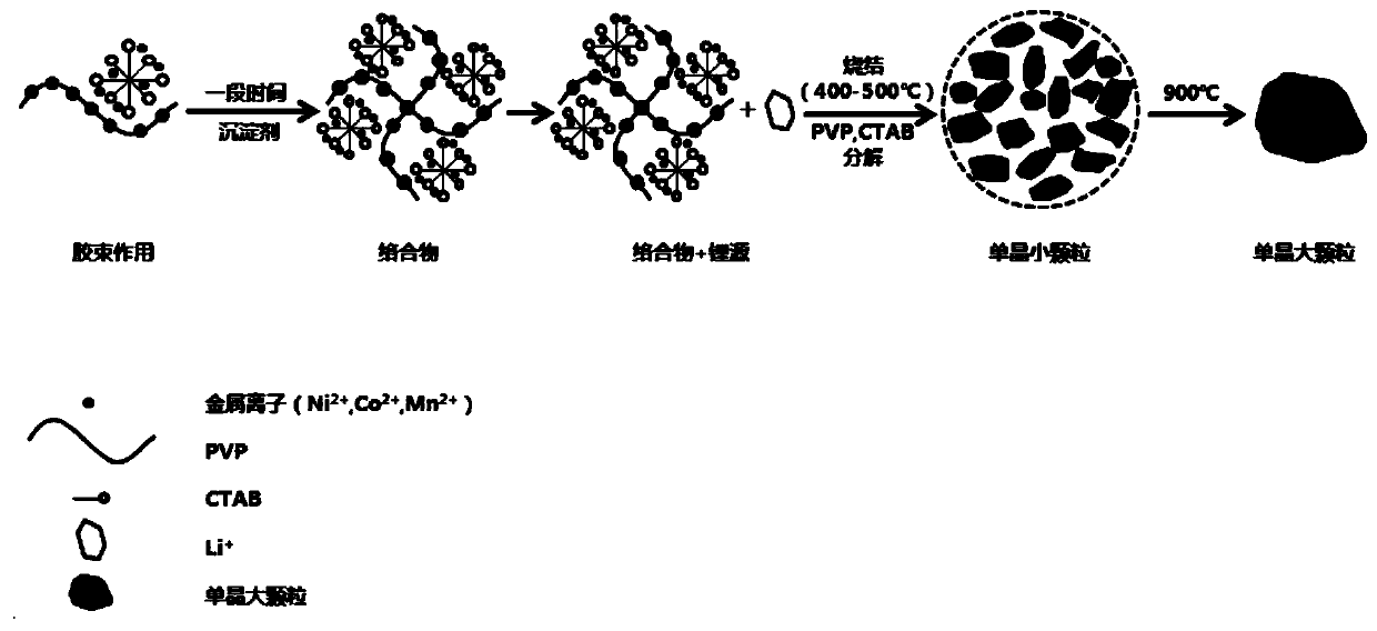 Preparation method of single crystal large particles of ternary material