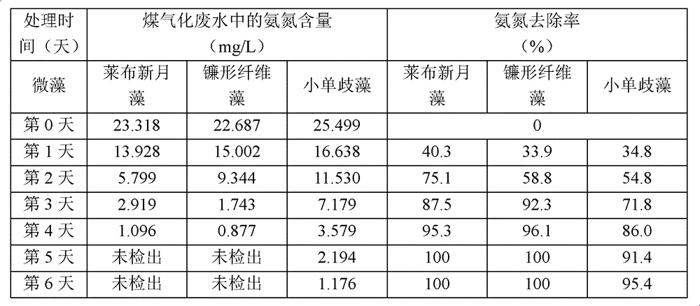 A system and method for treating coal gasification wastewater using microalgae