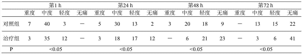 Analgesic external Chinese medicine composition and preparation method thereof
