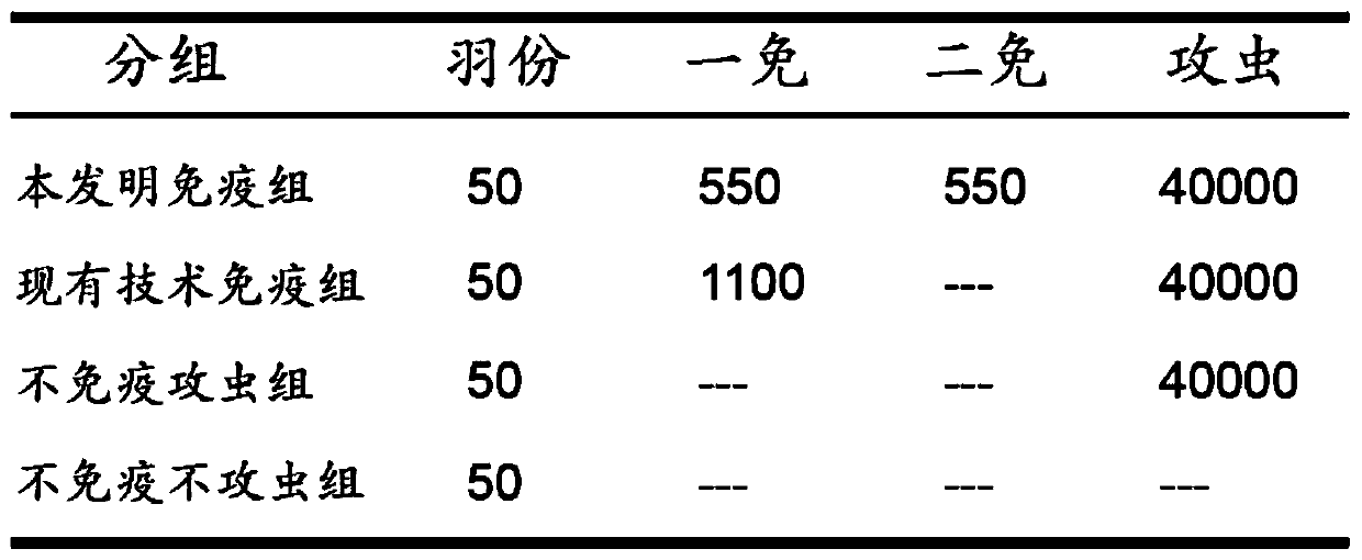 A kind of chicken coccidiosis vaccine immunization method