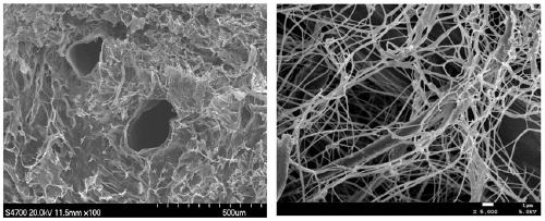 A kind of bioscaffold material suitable for cell growth and preparation method thereof