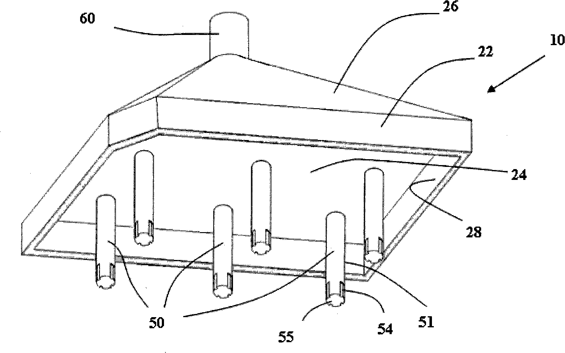 Apparatus and method for cultivation and process of cell or tissue