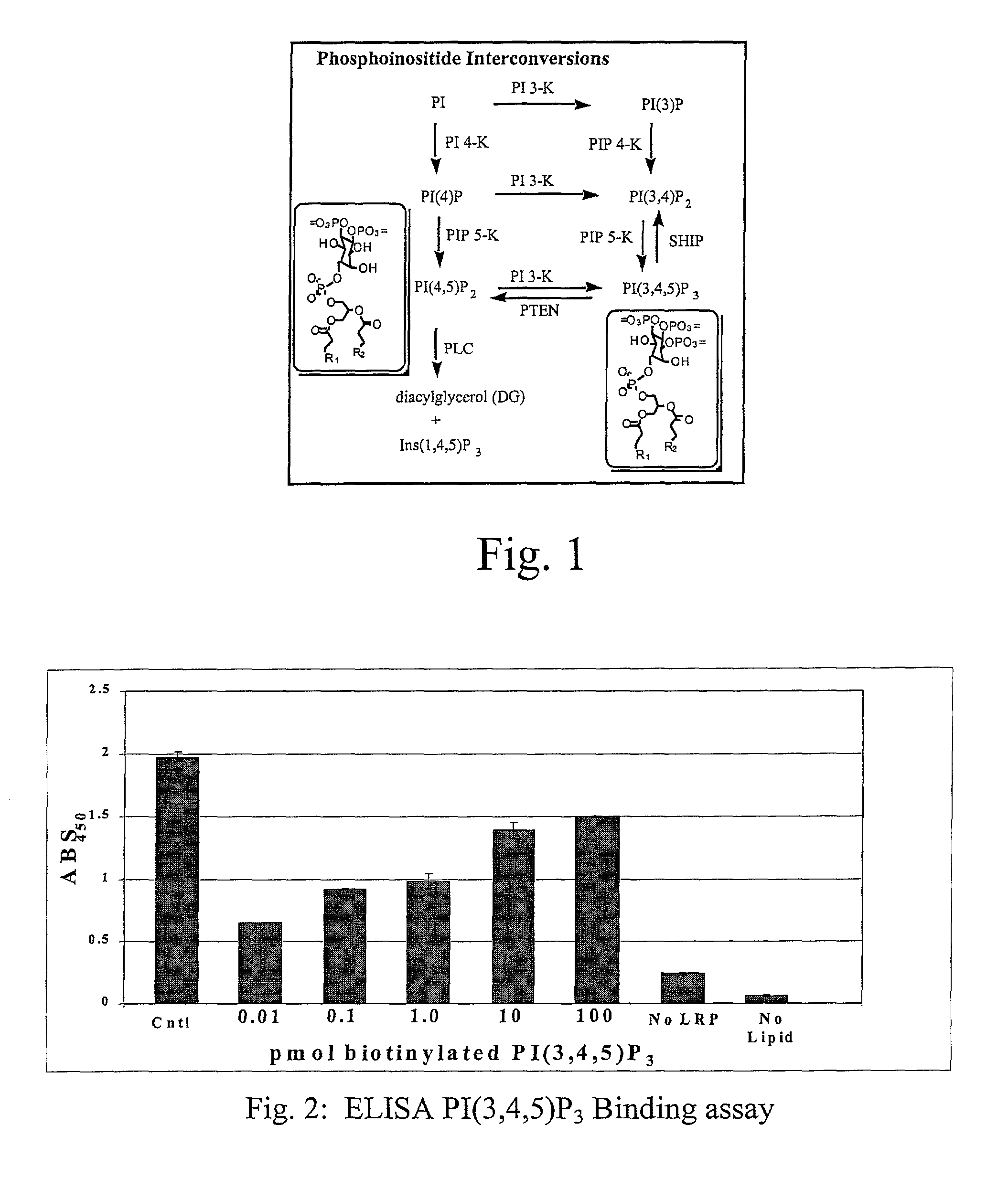 Assaying apparatus, kit, and method for lipids and associated enzymes
