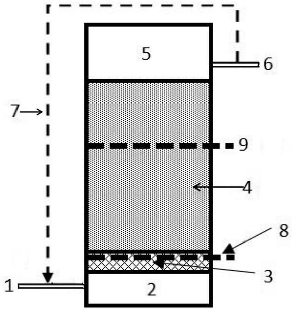 Single-group B-BAF filter tank device and sewage denitrification treatment method