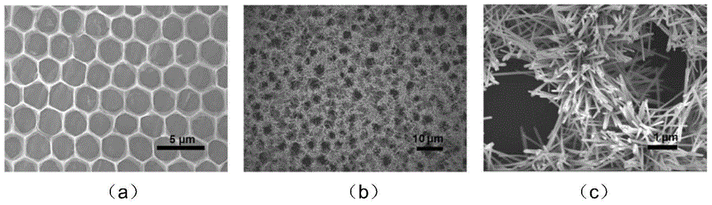 Honeycomb structure graphene/ZnO nanorod composite film, manufacturing method and application