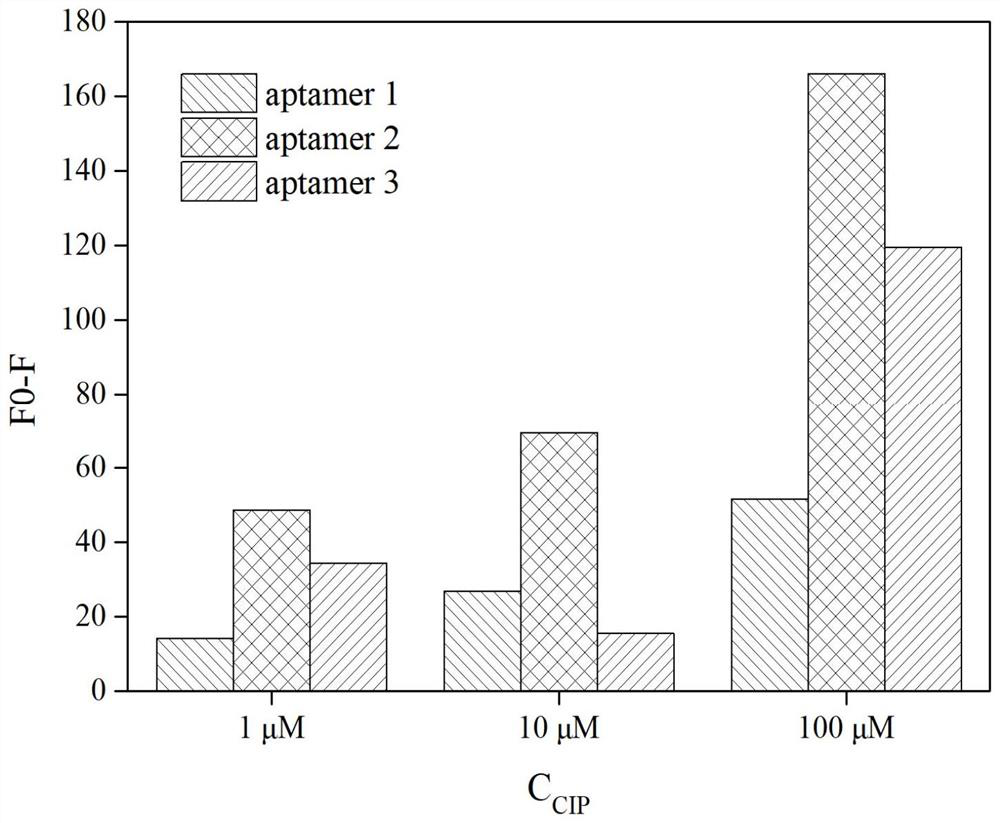 Split nucleic acid aptamer for specifically detecting ciprofloxacin and application of split nucleic acid aptamer