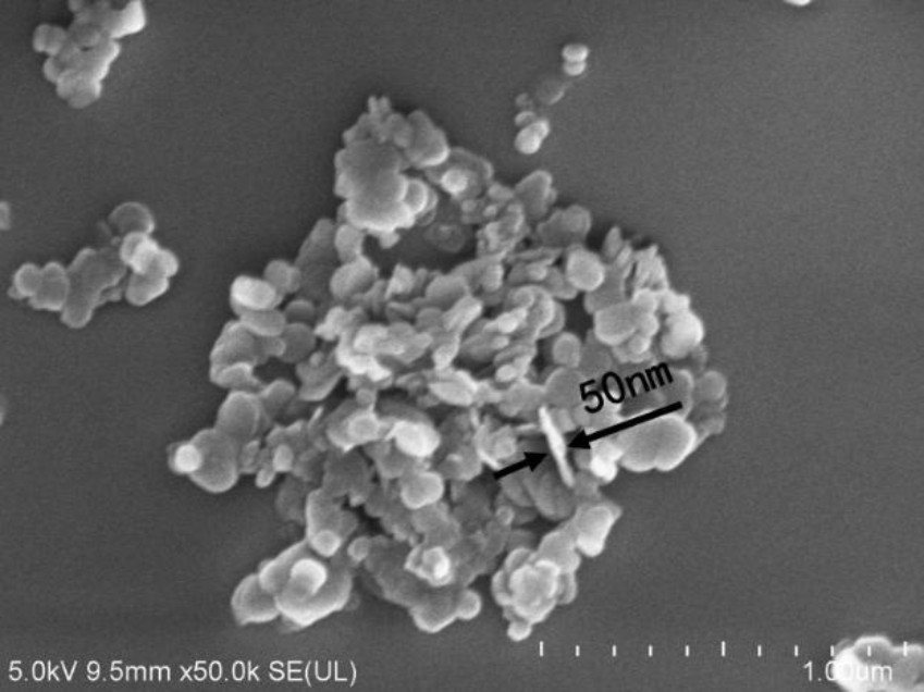 Preparation method of biomass boron nitride nanosheet modified polyimide aerogel