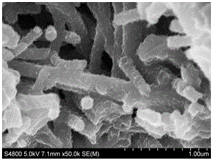 Method for preparing conducting polyaniline nanotubes with fructose as template