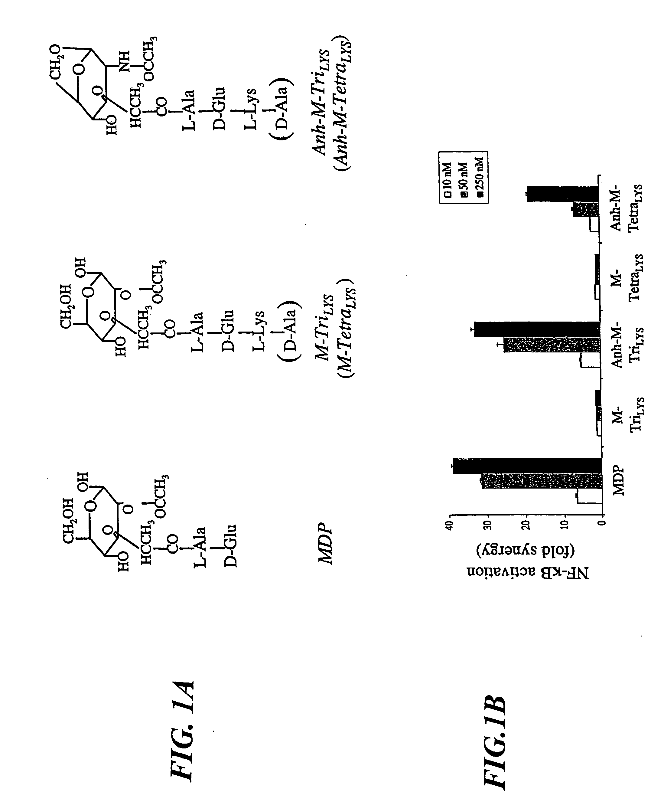 Method for screening molecules that restore NOD1 activity in cells containing an NOD2 mutation that reduces or eliminates NOD1 activity