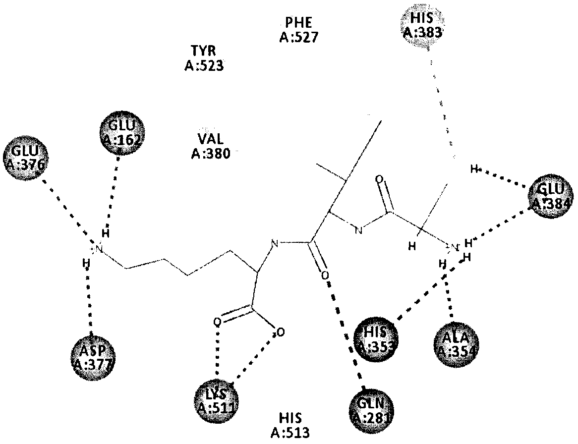 ACE (Angiotensin Converting Enzyme) inhibiting peptide