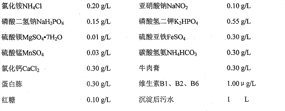 Water-treatment composite microbe continuous culture device and culture method thereof